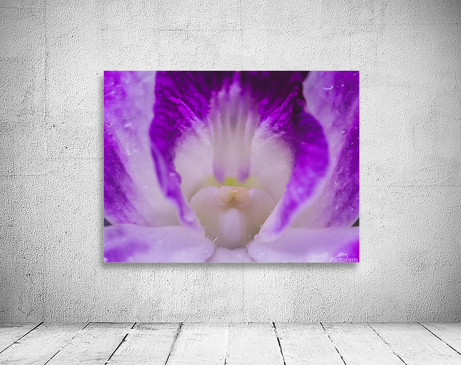  44A6826 Wall Preview