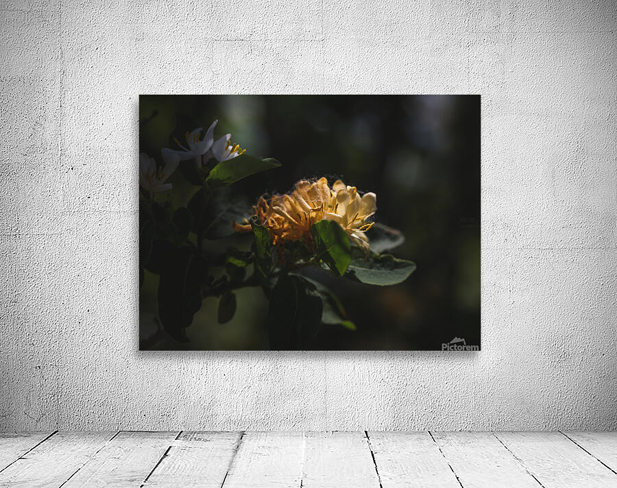  44A7334 Wall Preview