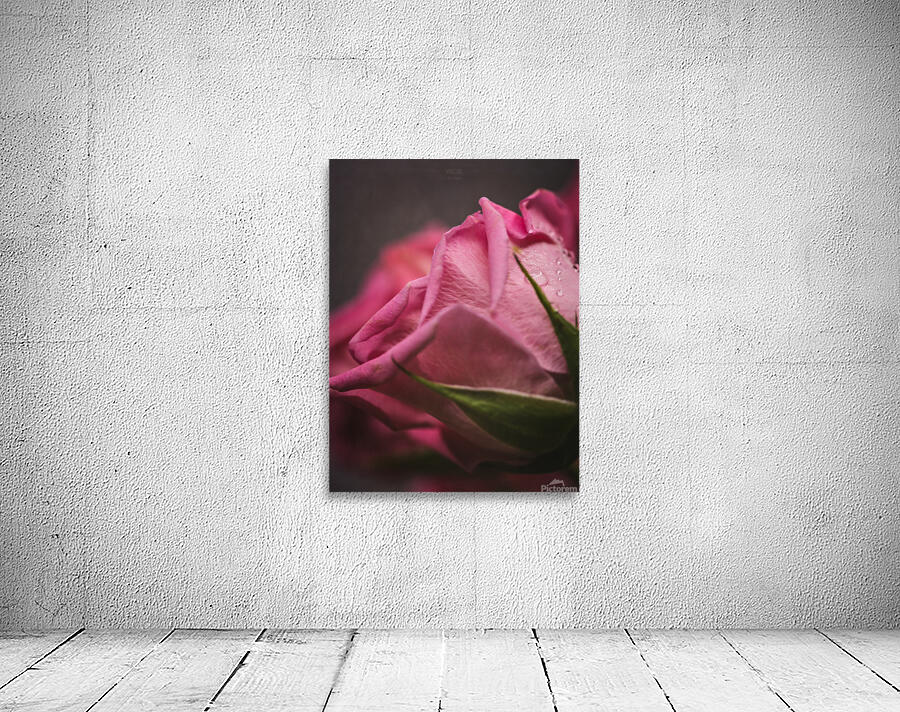  44A6849 Wall Preview