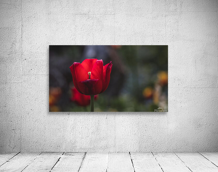  44A7180 Wall Preview