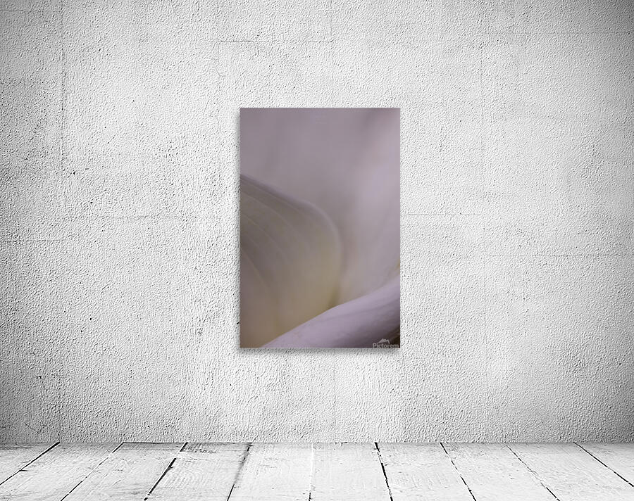  44A6774 Wall Preview