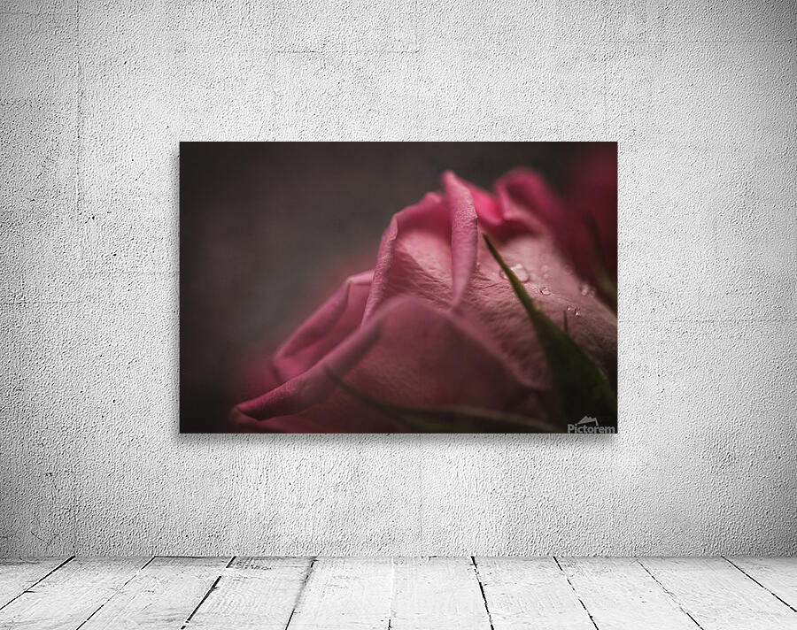  44A6851 Wall Preview