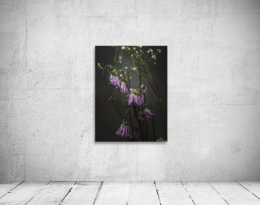  44A6913 Wall Preview