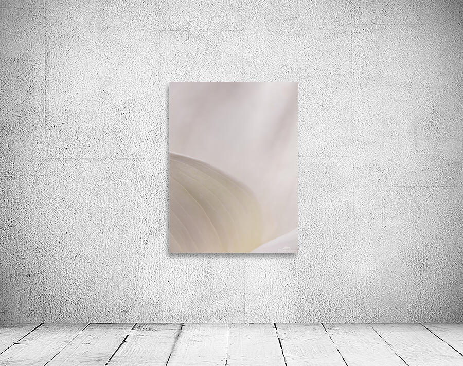  44A6773 Wall Preview