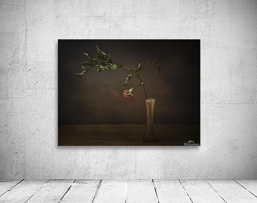  44A6899 Wall Preview