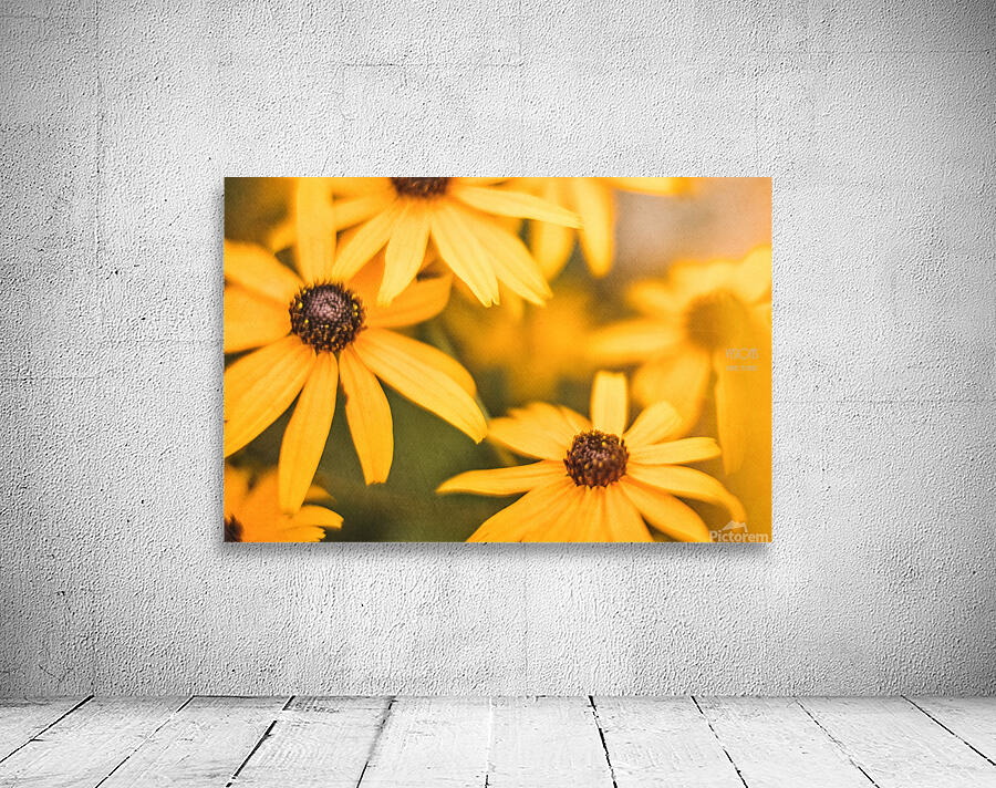  44A7893 Wall Preview
