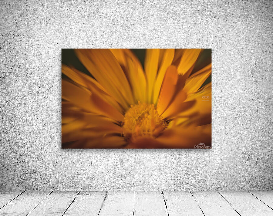  44A8201 Wall Preview