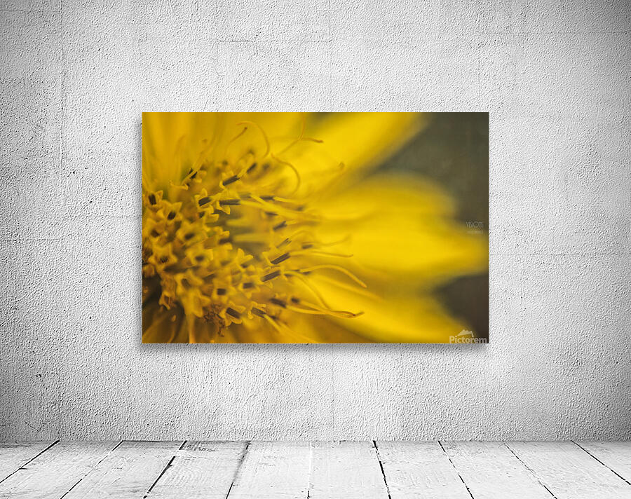  44A8155 Wall Preview