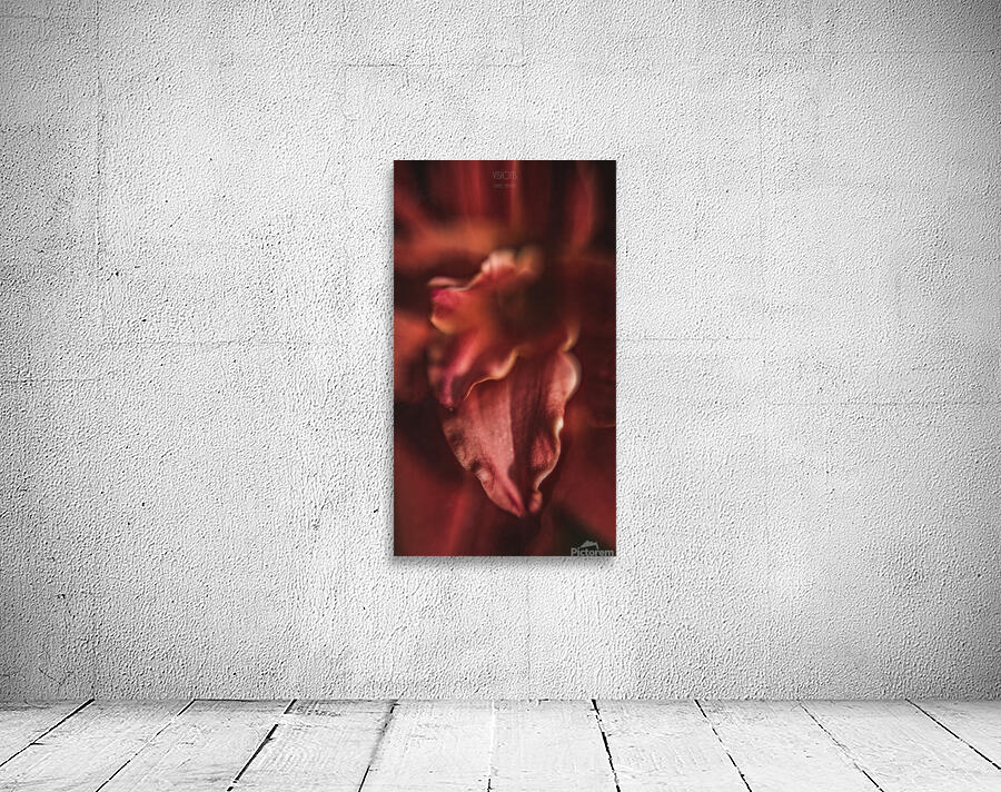  44A8303 Wall Preview