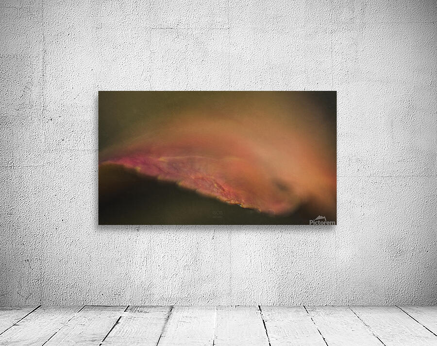  44A8019 Wall Preview