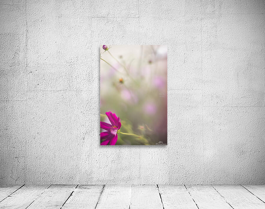  44A7987 Wall Preview