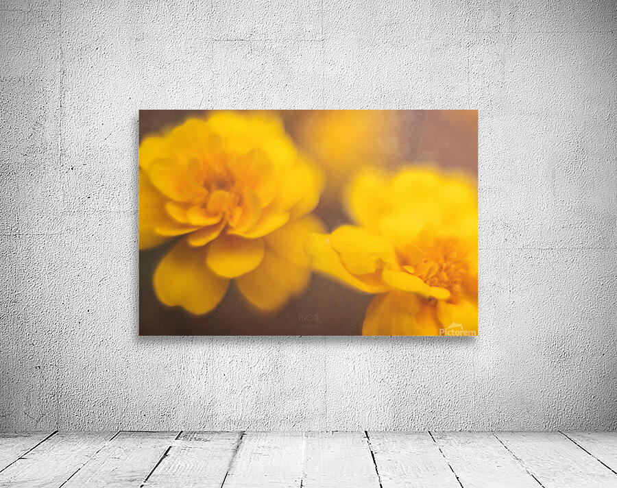  44A7904 Wall Preview