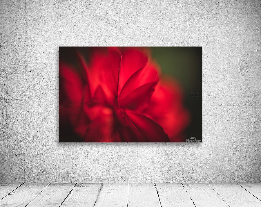  44A8243 Wall Preview