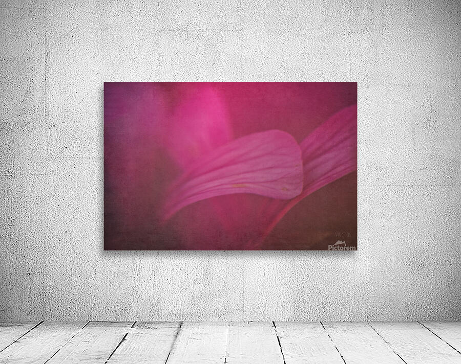  44A8106 Wall Preview