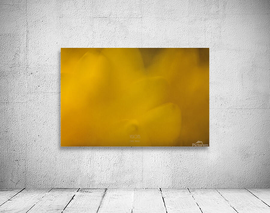  44A7975 Wall Preview