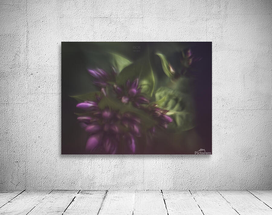  44A7844 Wall Preview