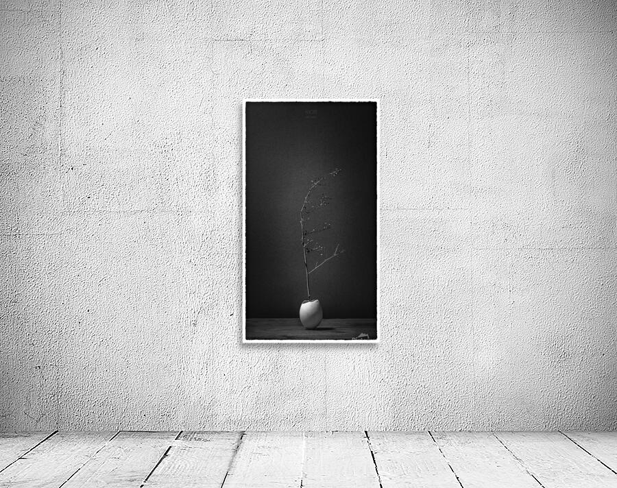  85A1283  Wall Preview
