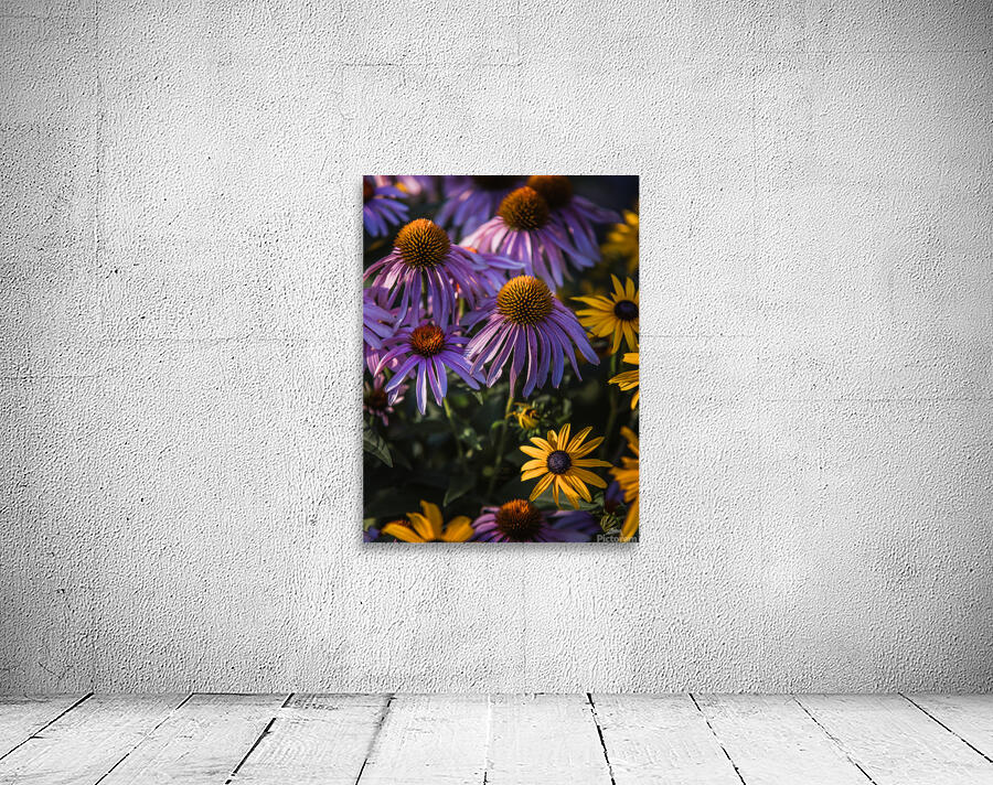  85A3580 Wall Preview