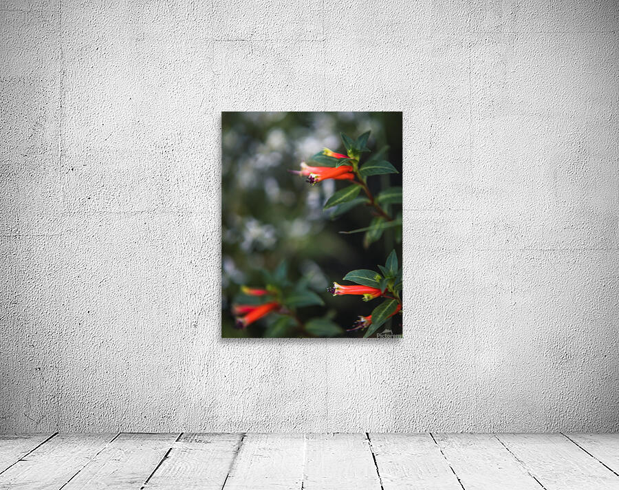  85A3548 Wall Preview
