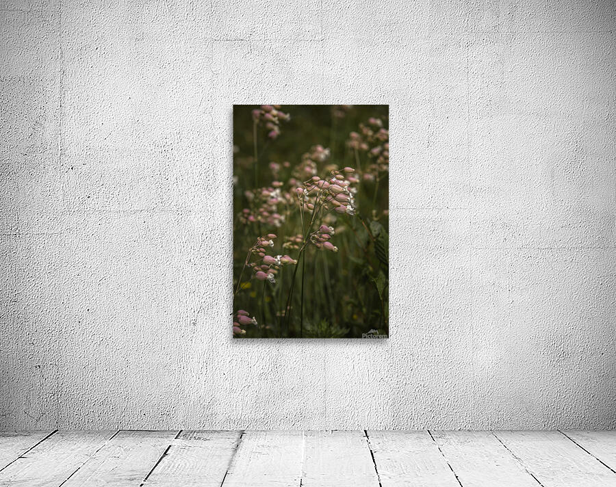  85A2917 Wall Preview