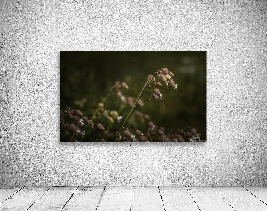  85A2915 Wall Preview