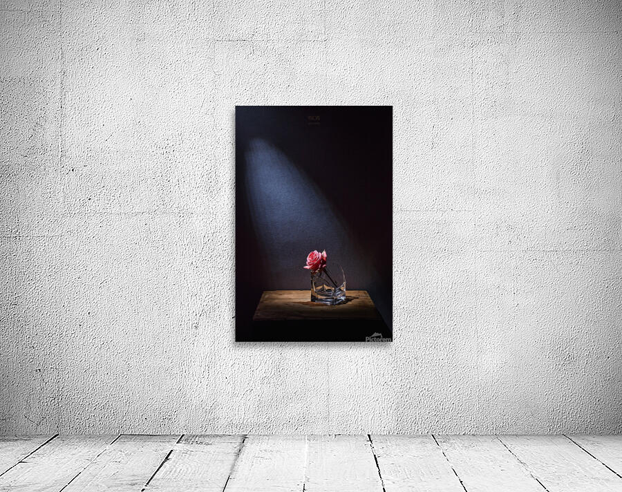  85A1496 Wall Preview