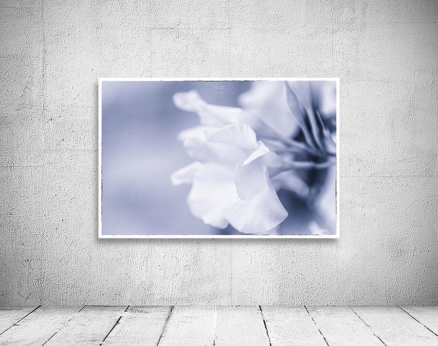  85A3620  Wall Preview
