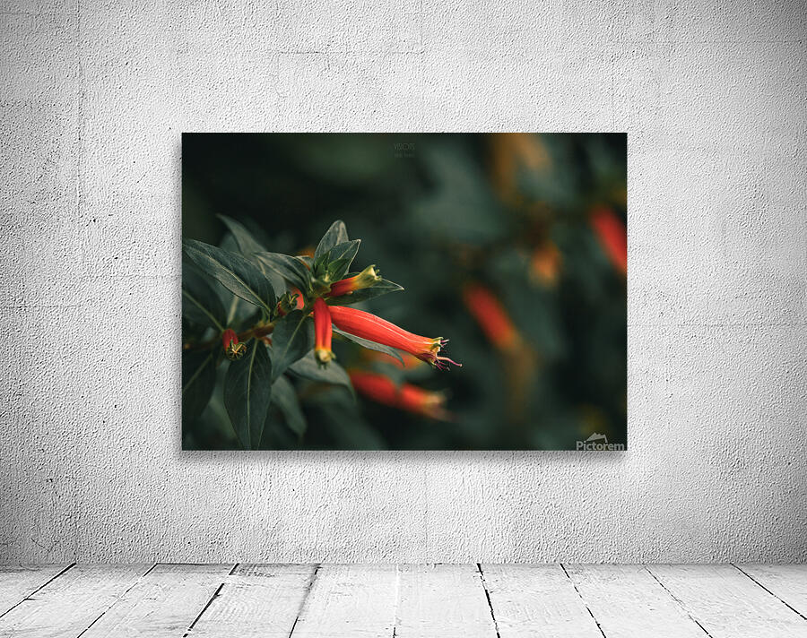  85A3537 Wall Preview