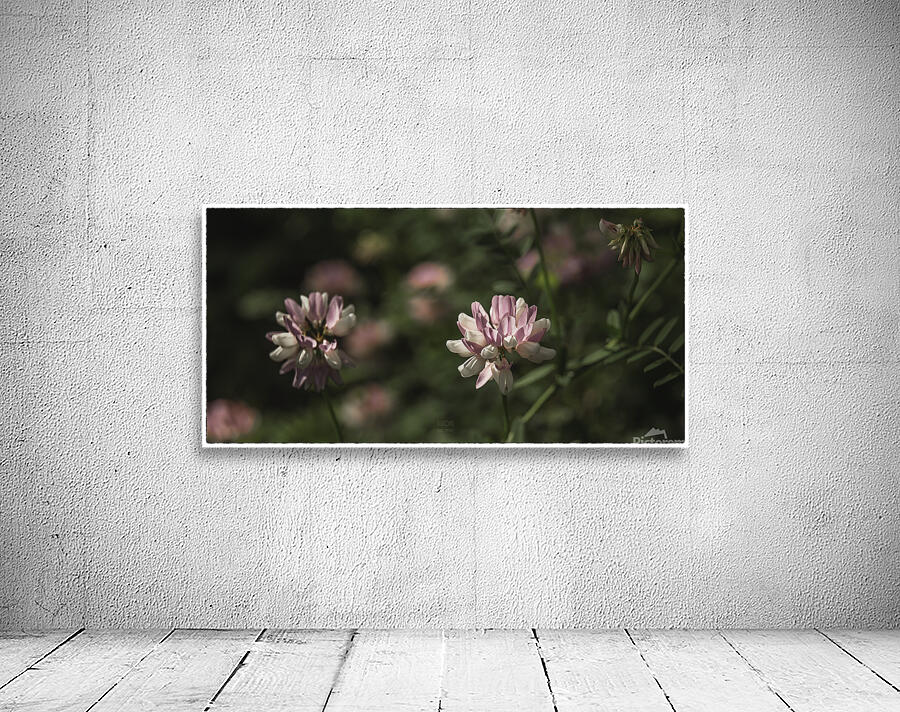  85A3042 Wall Preview