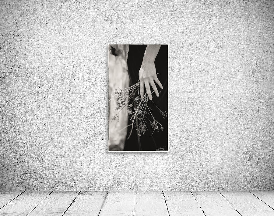  85A2607  Wall Preview