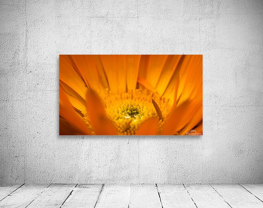 85A4623 Wall Preview