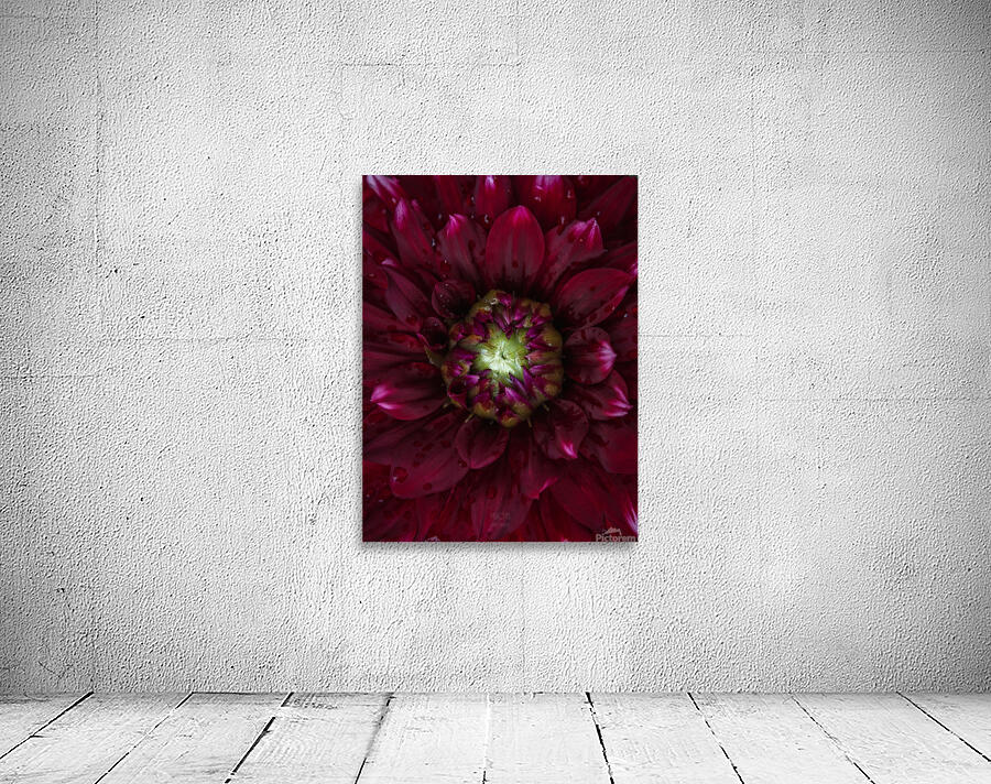  85A4605 Wall Preview