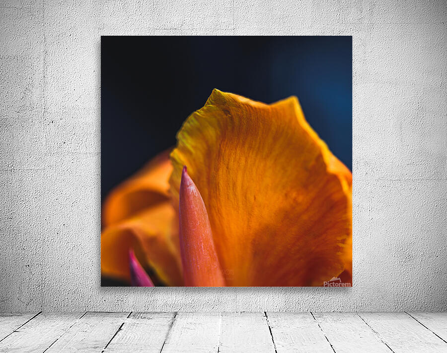  85A4163 Wall Preview