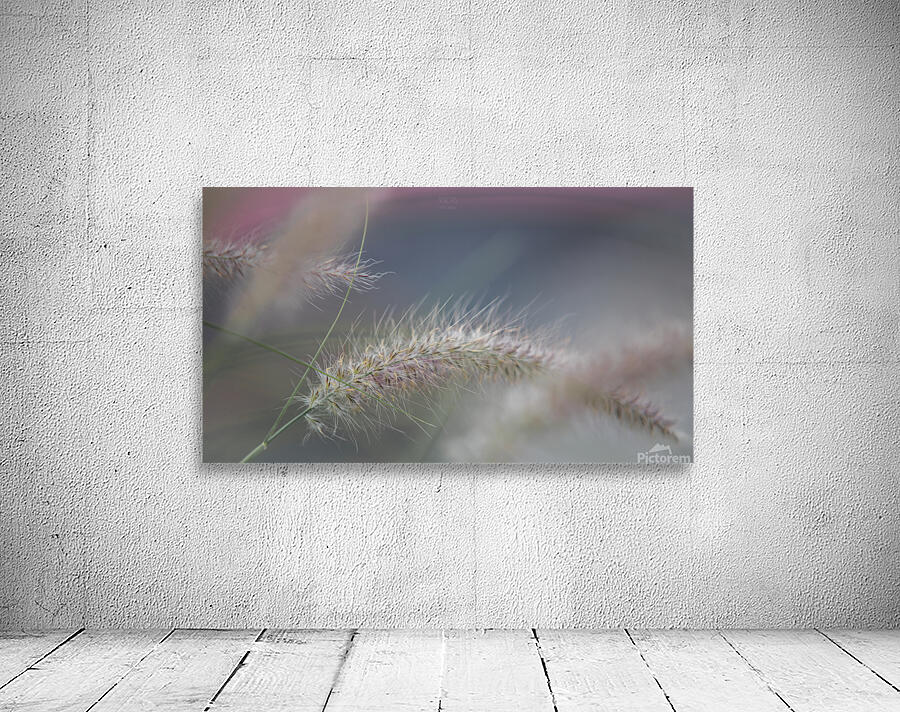  85A3694 Wall Preview