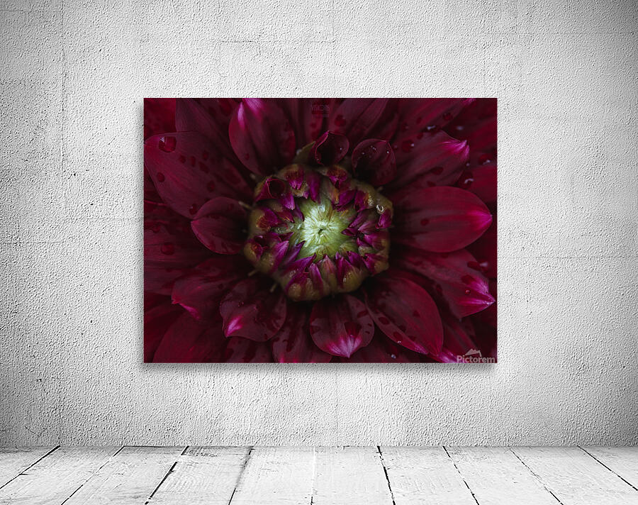  85A4606 Wall Preview