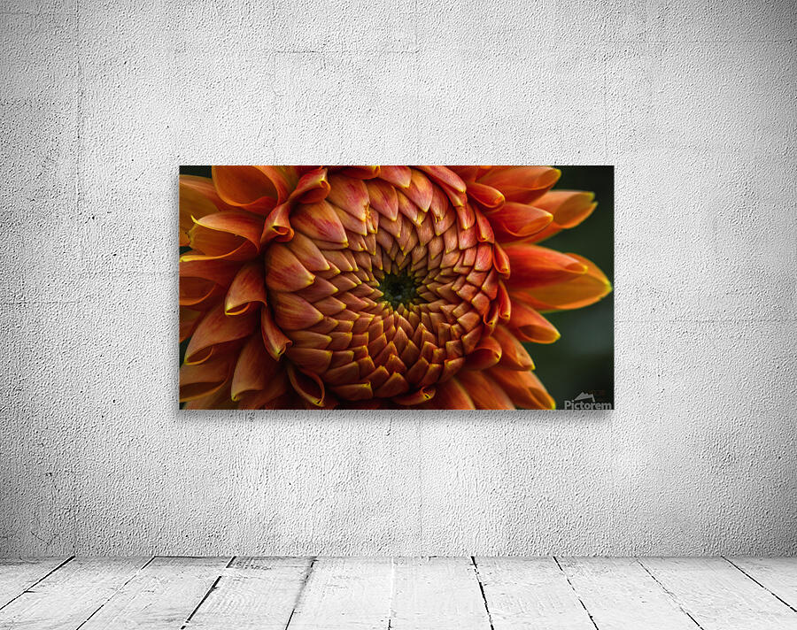  85A4691 Wall Preview