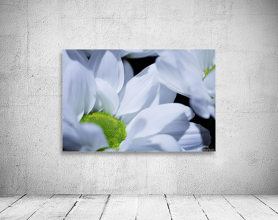  85A6015 Wall Preview