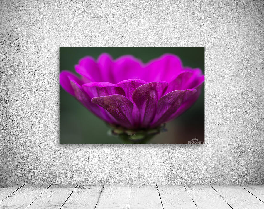  85A4783 Wall Preview