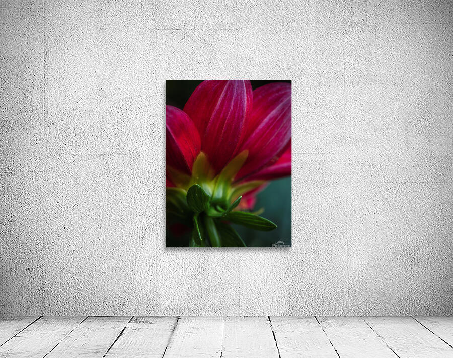  85A4670 Wall Preview