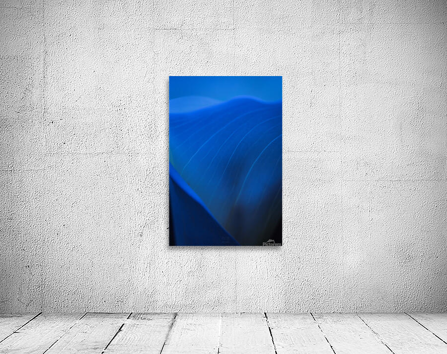  85A5934 Wall Preview