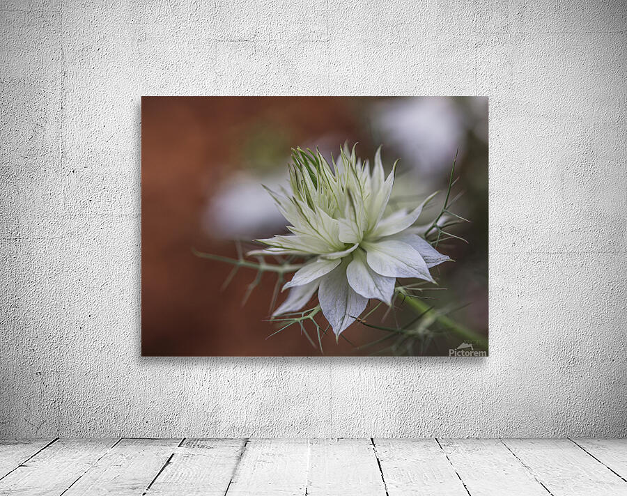  85A4807 Wall Preview