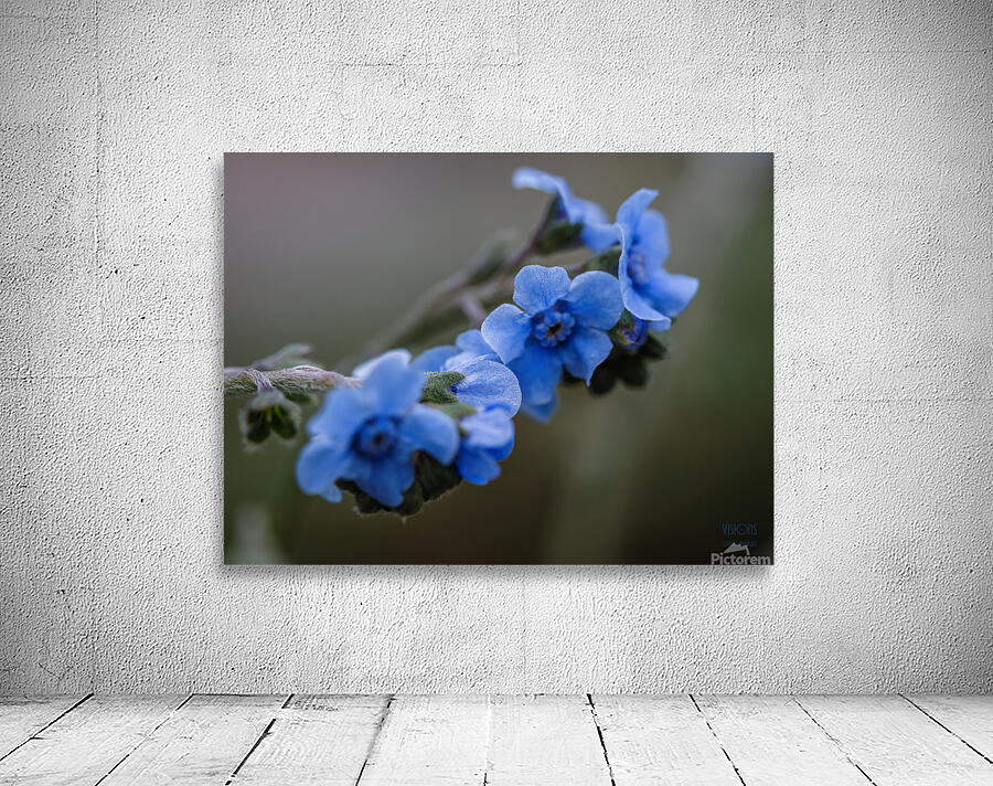  85A4869 Wall Preview