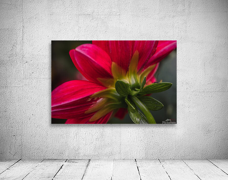 85A4671 Wall Preview