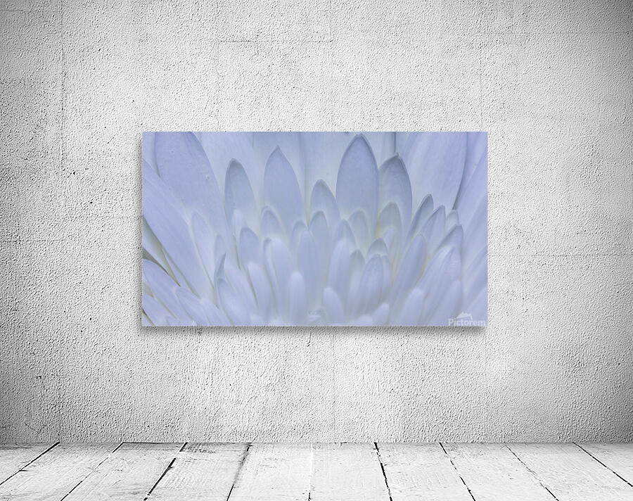  85A5907 Wall Preview