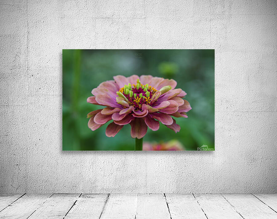  85A4789 Wall Preview