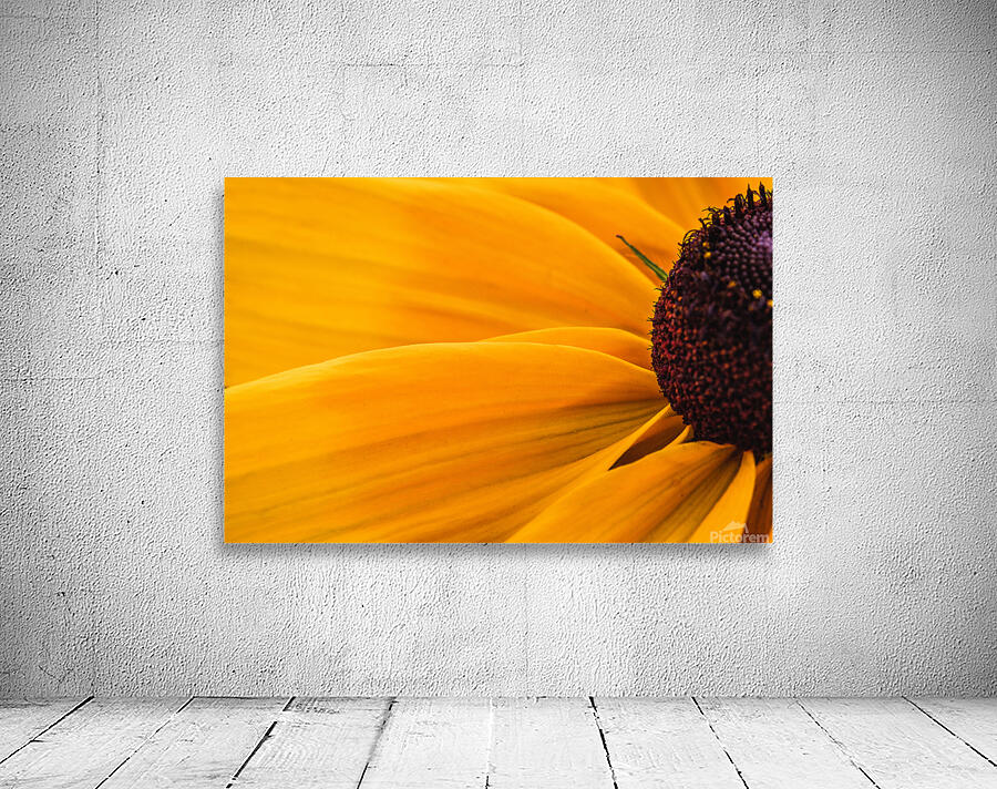  85A4701 Wall Preview