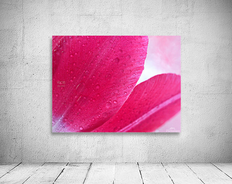 1Q8A7505 Wall Preview