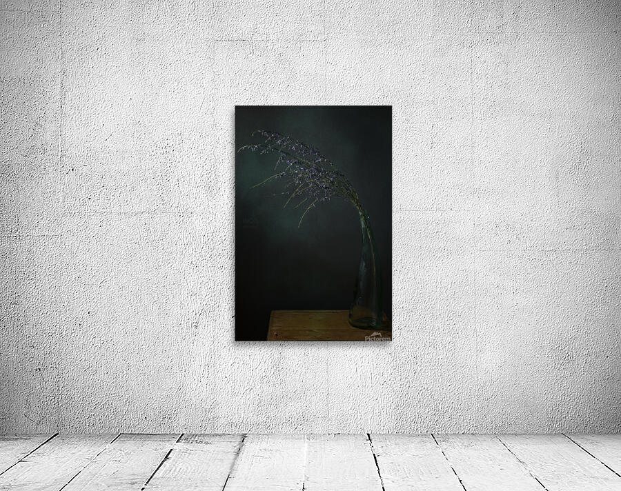 1Q8A7526 Wall Preview