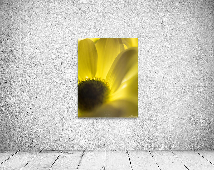 044A0526 Wall Preview