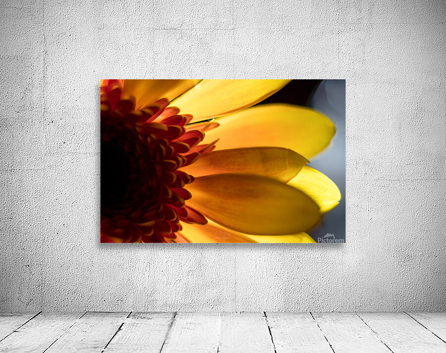 044A0508 Wall Preview